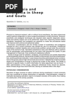 Goat and Sheep Anesthesia Protocols | PDF | Anesthesia | Analgesic