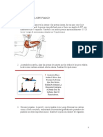 Ejercicios para Genu Valgo