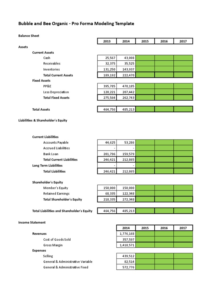 Bubble and bee organic - pro forma modeling template image
