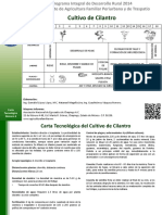 CULTIVO FR CULANTRO.pdf