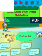 Fungsi Enzim Dalam Proses Metabolisme
