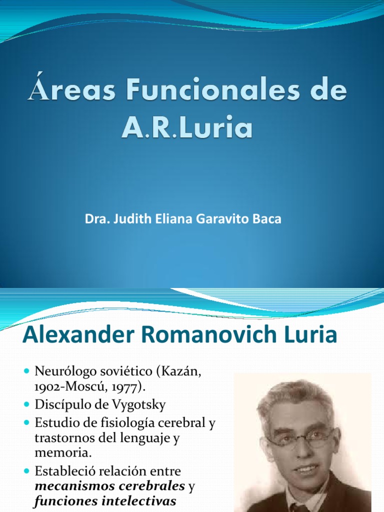 Áreas Funcionales de Luria Lóbulo frontal Cerebro