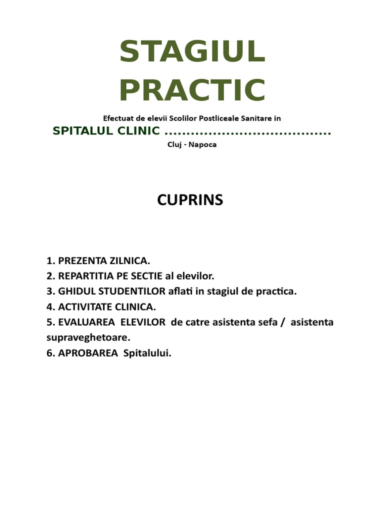 Stagiul Practic | PDF
