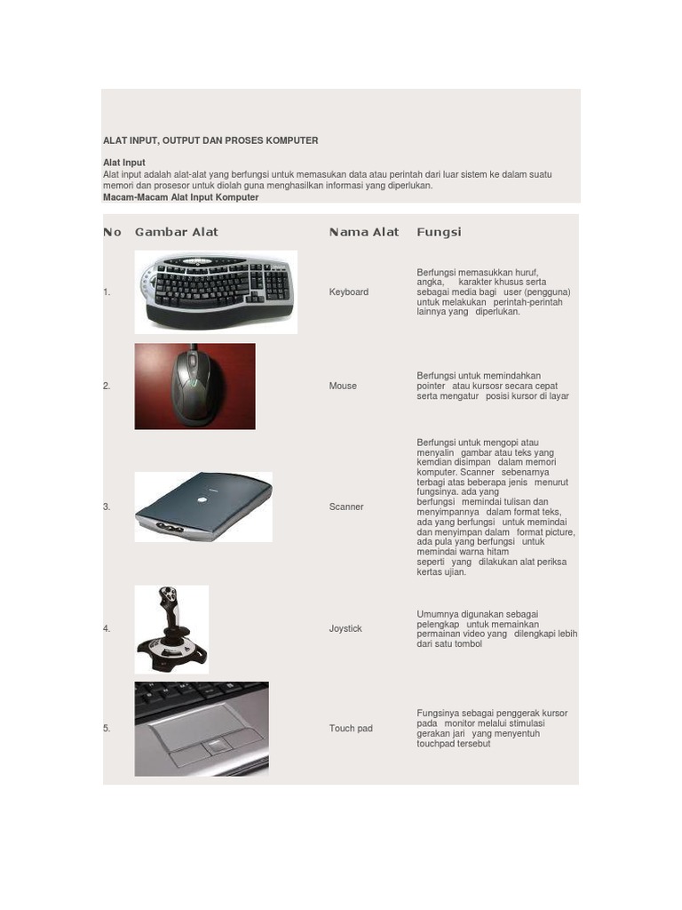 Alat Input, Output, dan Proses Komputer | PDF