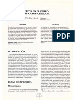 Osteomelitis PDF