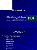 Picornavirus x