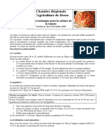 FT Tomate CRADosso V1 PDF