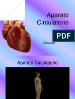 Aparato Circulatorio Usar
