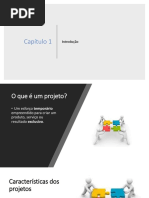 Apresentação CAPÍTULO 2 -PMBOK