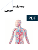 8 Circulatory System Lesson