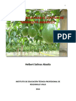 Guia_Maracuya-INTEP-2014.pdf