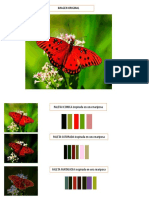 Pd s Flores Color Denotativo