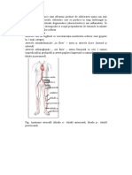 Ischemia cronica.docx