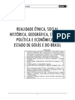 REALIDADE ÉTNICA, SOCIAL, HISTÓRICA, GEOGRÁFICA, CULTURAL, POLÍTICA E ECONÔMICA DO ESTADO DE GOIÁS.pdf