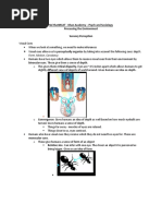 Khan Academy MCAT Psych/Soc Overview | PDF | Olfaction