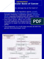 DR Haryadi Molecular Basis Cancer