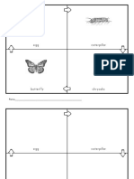 Butterfly Life Cycle Pasting and Drawing Activity PDF