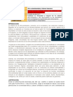 Afrocolombianidad y Valores Humanos (1)