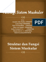 Patologi Sistem Muskuler FG 4 fix.pptx