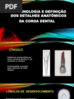 Terminologia e defini+º+úo dos detalhes anat+¦micos da coroa