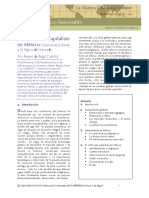AsaltoNeo CapMexensayo PDF