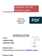 congenitalanomaliesofpituitarygland-140418002900-phpapp01