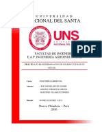 solidos-totales-informe-2.docx