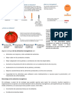 Alimentos transgénicos: ventajas y desventajas