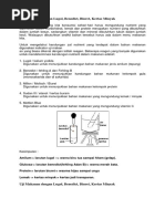 Download Uji Makanan Dengan Lugol by Radip SN358123763 doc pdf