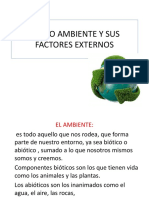 MEDIO_AMBIENTE_Y_SUS_FACTORES_EXTERNOS.pdf