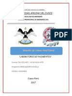 Informe de Caras Fracturadas