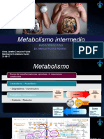 Metabolismo Intermedio