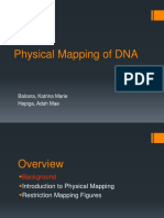 Physical Mapping of DNA: Balcera, Katrina Marie Hepiga, Adah Mae