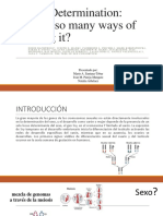 Expo Determinación Del Sexo