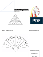 bioenergetica+2.pdf