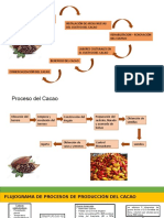 Flujograma de Produccion Del Cacao