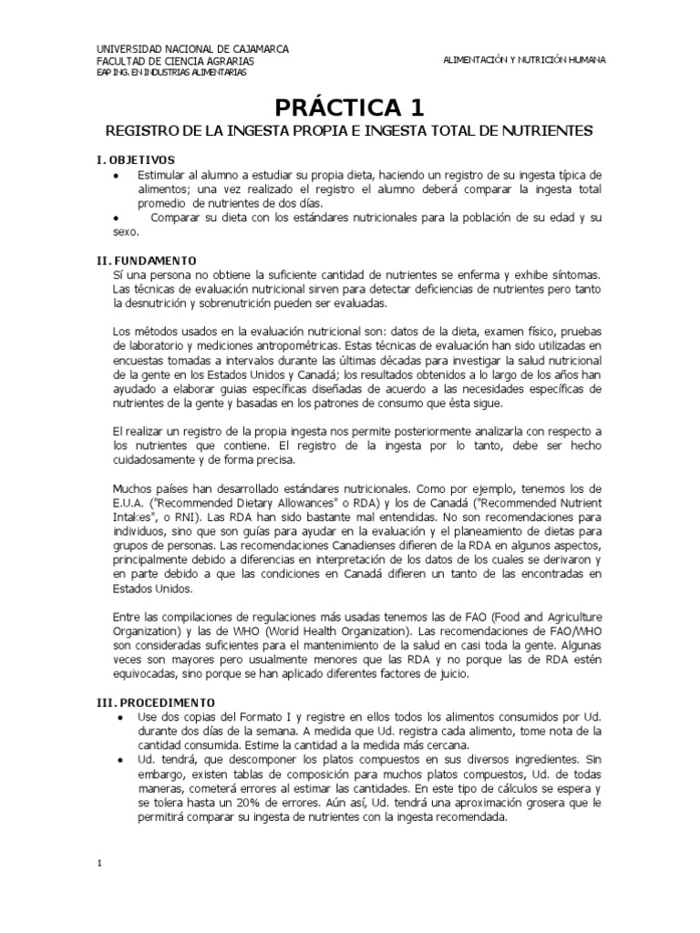 Registro de Ingesta Nutricional RDA | PDF | Dieta | Nutrición