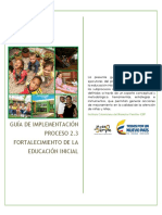 3.Guia de Implementacion Efei_07jul