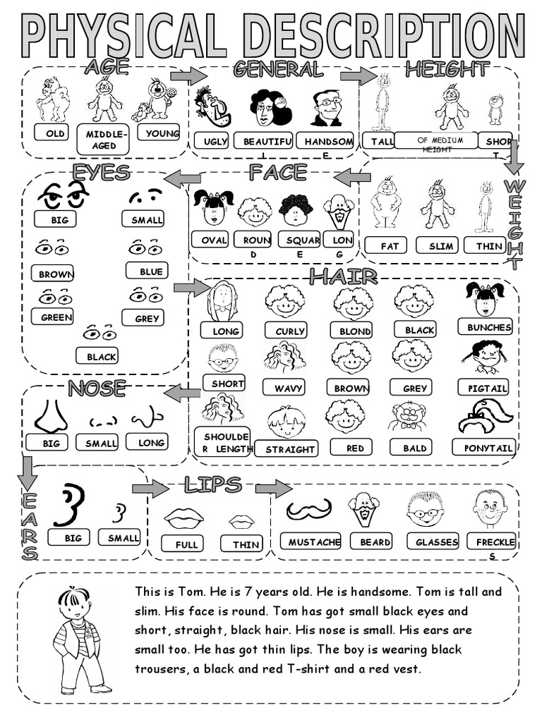 Physical Appearance Traits of Tom | PDF