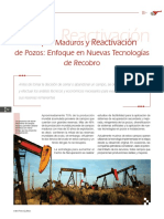 Campos Maduros REACTIVACIÓN - Articulo PDF