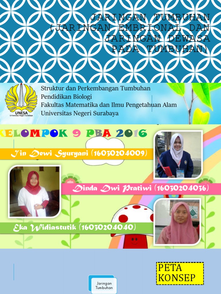 Jaringan Tumbuhan