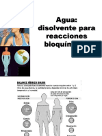 Agua.ppt