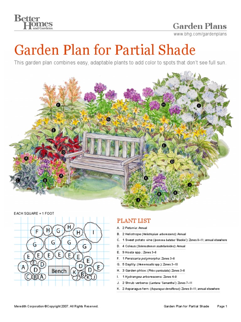 Garden Plan For Partial Shade | PDF | Mulch | Trees, image size:768x1024