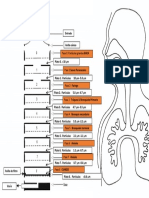 Diagrama Tracto Moudi