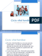 Psicología de La Familia 3 (1) Ciclo Vital