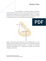 06 - Pêndulo Físico PDF