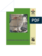 Enfermedades en Los Conejos PDF