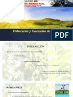 Elaboración y Evaluación de Proyecto (Exposicion)