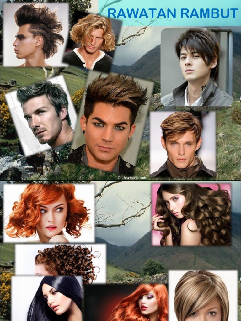 Struktur dan Jenis Rambut | PDF | Griya & Taman