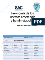 Laboratorio 7 Taxonomia Paurometabola y Hemimetabola-1